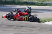 20110501_ales_agnus (1986)